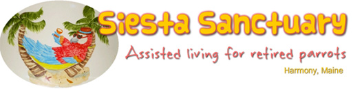 Siesta Sanctuary